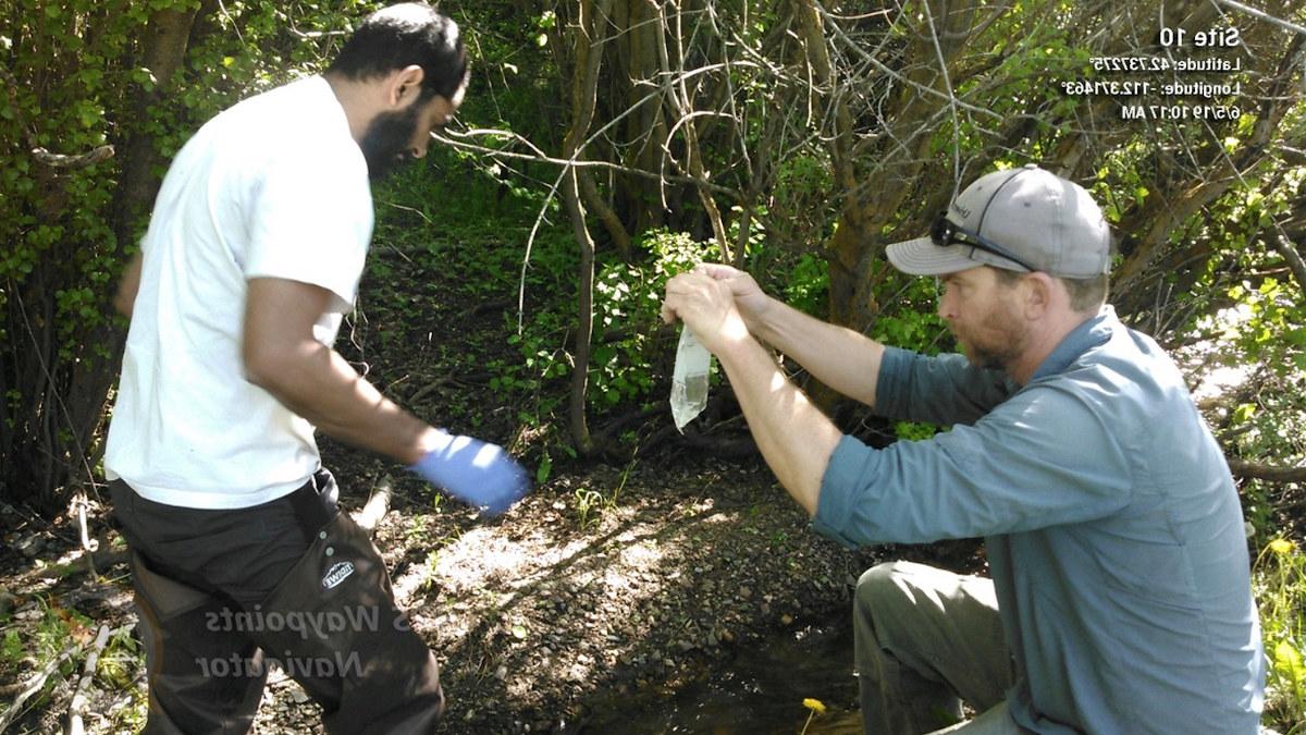 Two researchers take samples at Mink Creek.