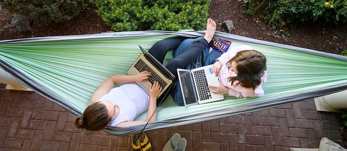 Students studying on laptops in a hammock